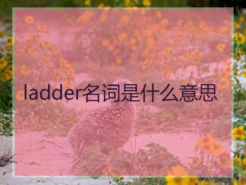 ladder名词是什么意思