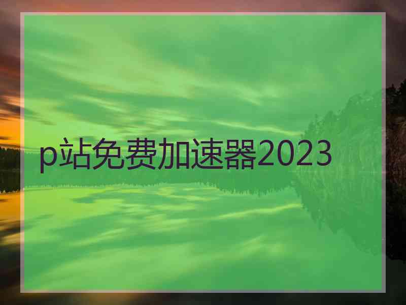 p站免费加速器2023