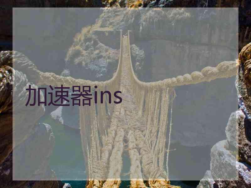 加速器ins