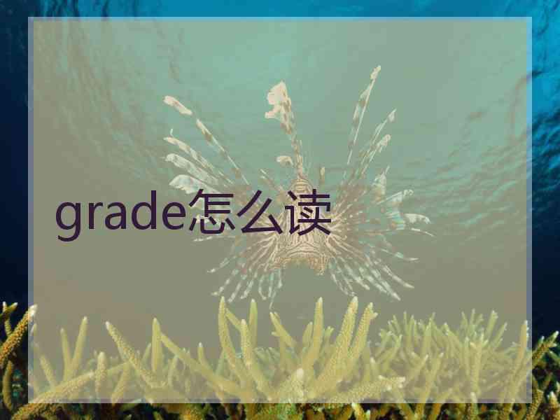 grade怎么读