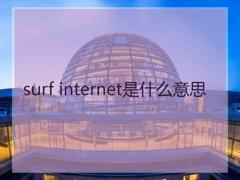 surf internet是什么意思