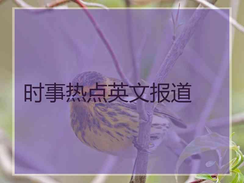 时事热点英文报道