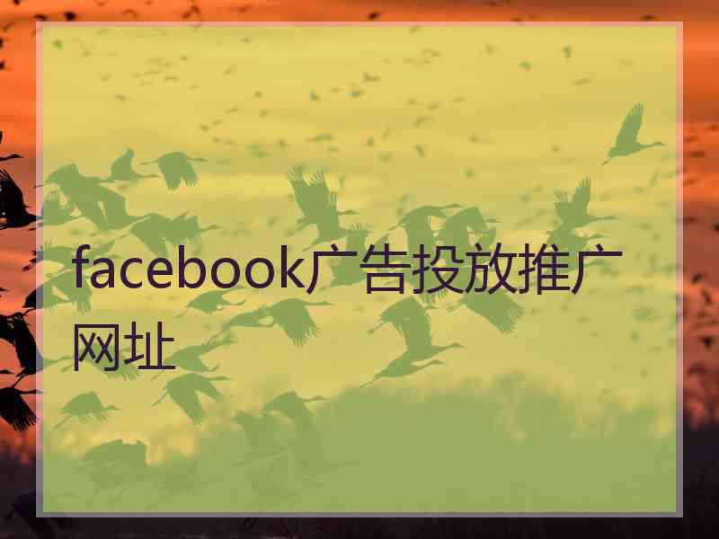 facebook广告投放推广网址