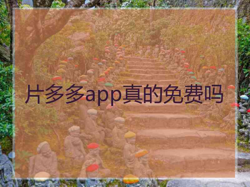 片多多app真的免费吗