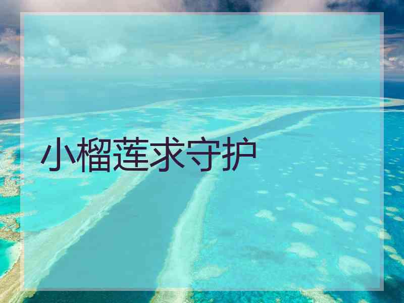 小榴莲求守护