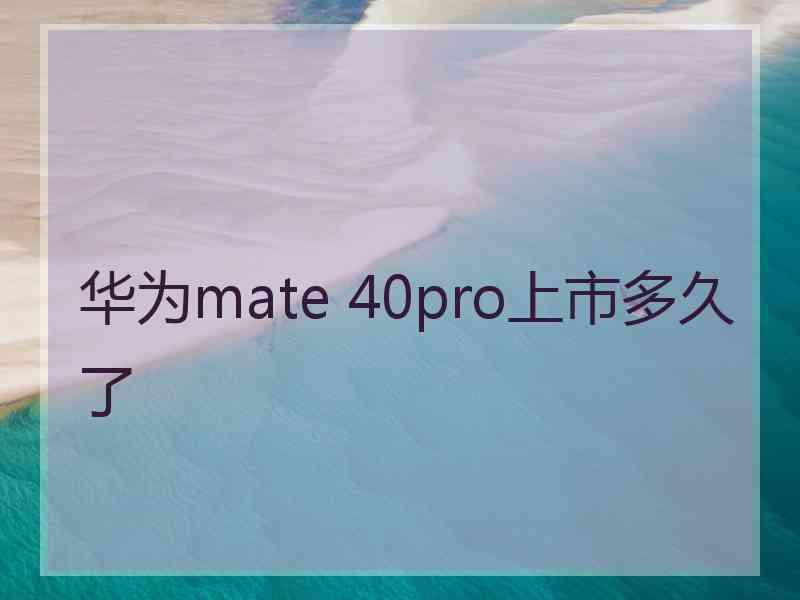 华为mate 40pro上市多久了