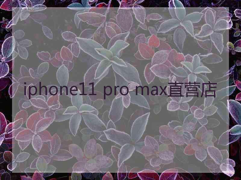 iphone11 pro max直营店