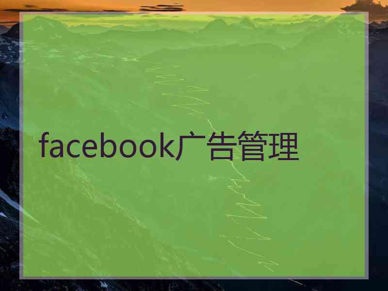 facebook广告管理