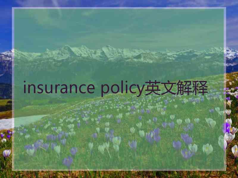 insurance policy英文解释