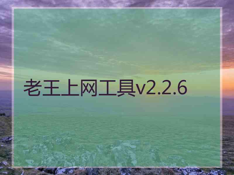 老王上网工具v2.2.6