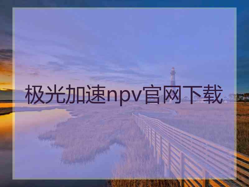 极光加速npv官网下载