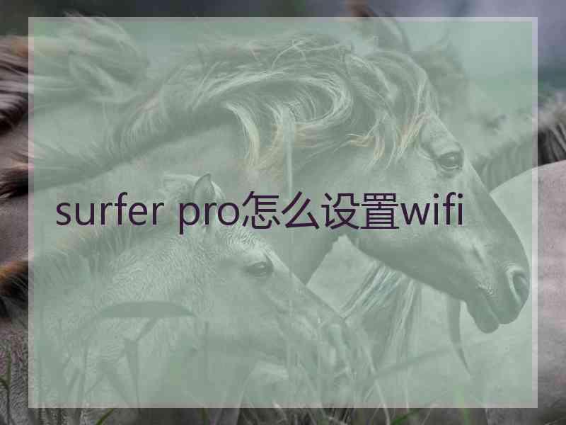 surfer pro怎么设置wifi