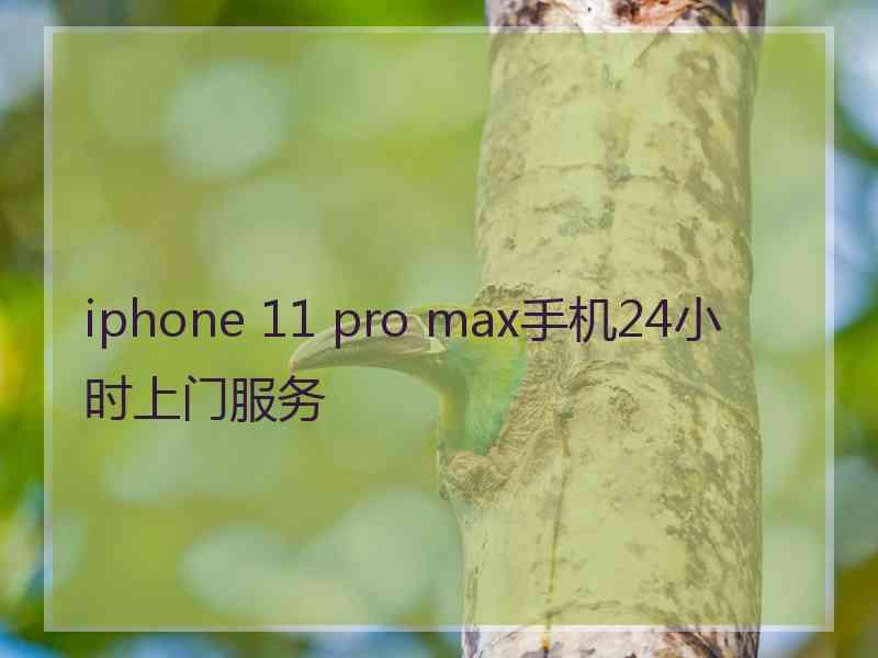 iphone 11 pro max手机24小时上门服务