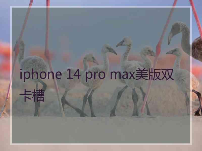 iphone 14 pro max美版双卡槽