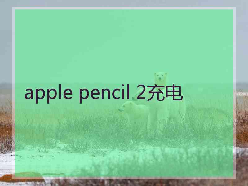 apple pencil 2充电