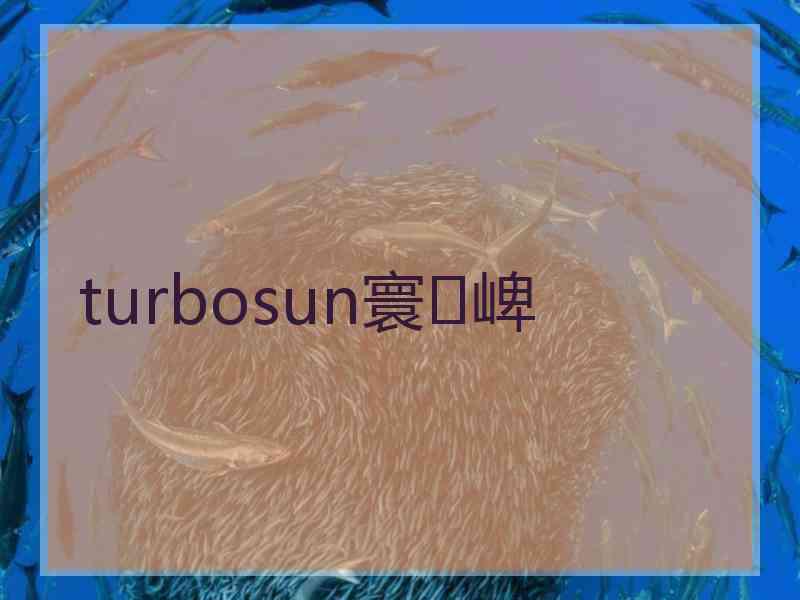 turbosun寰崥