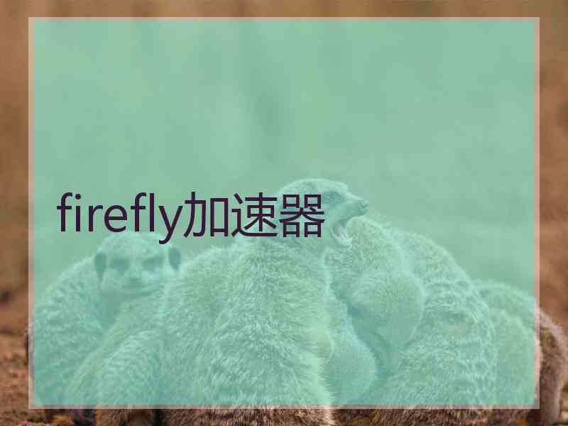 firefly加速器