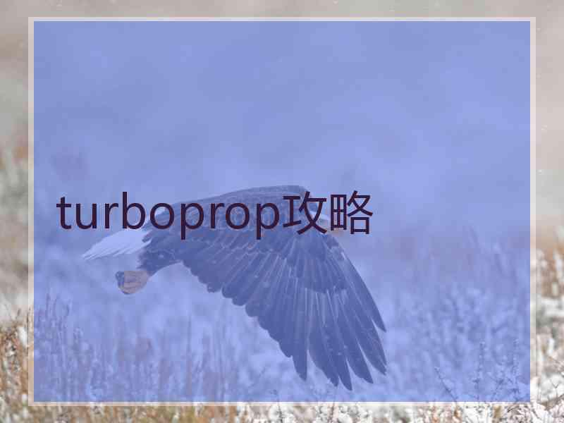 turboprop攻略