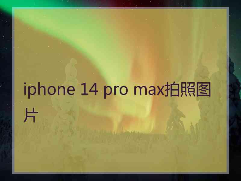 iphone 14 pro max拍照图片