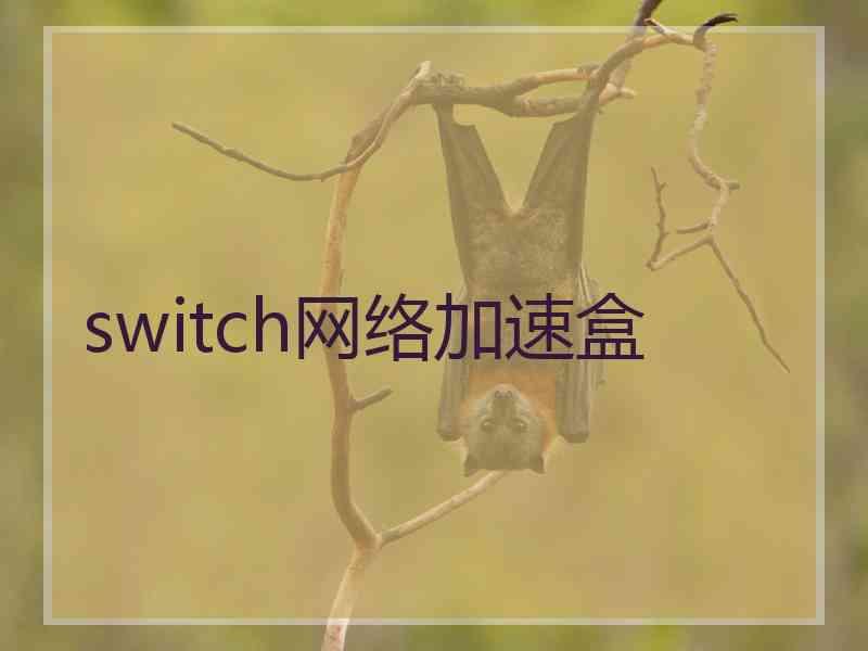 switch网络加速盒