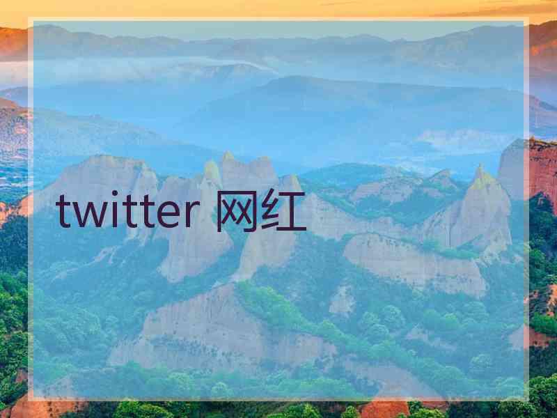 twitter 网红