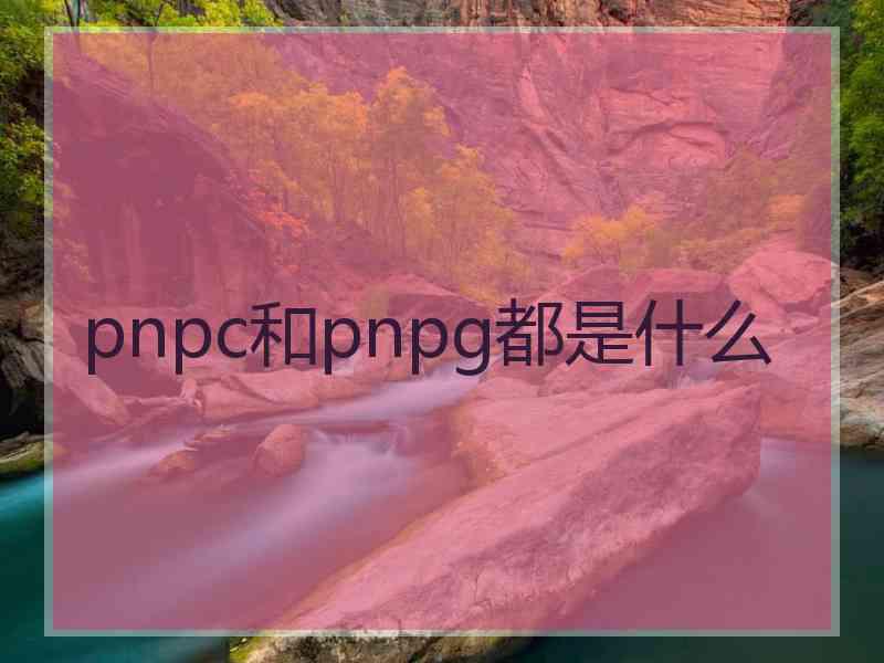 pnpc和pnpg都是什么