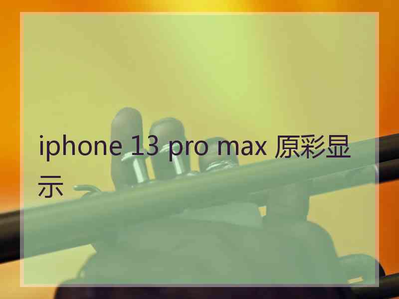 iphone 13 pro max 原彩显示