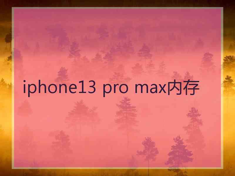 iphone13 pro max内存