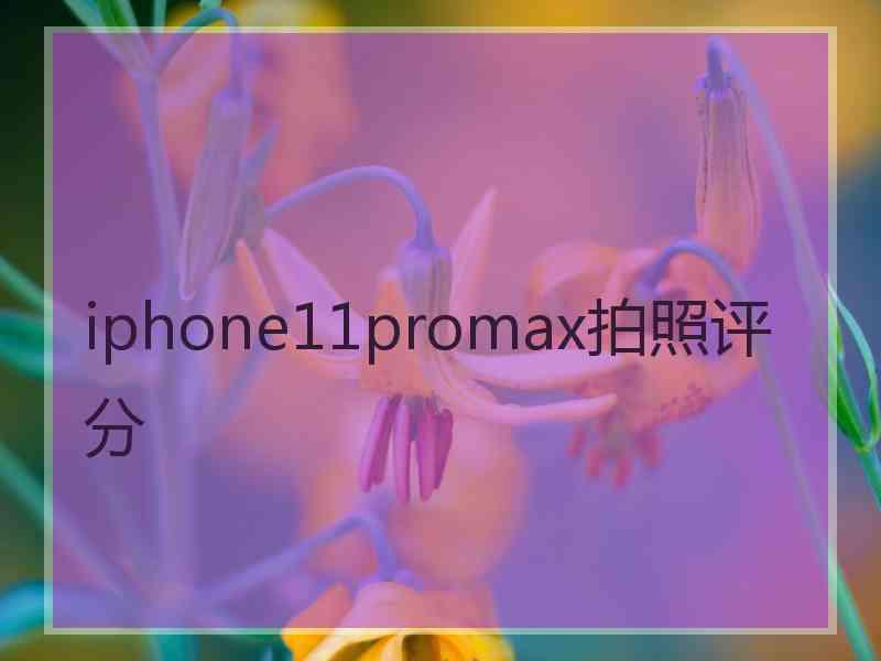 iphone11promax拍照评分