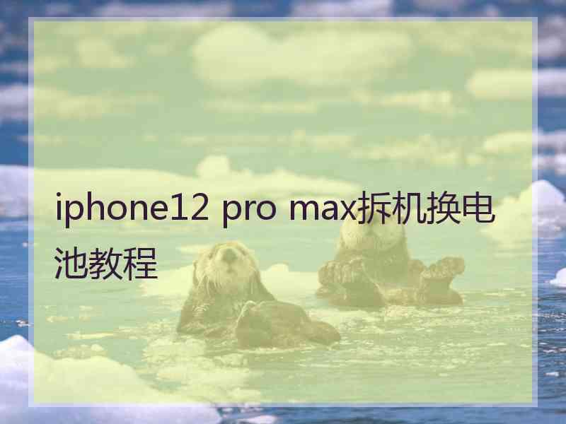 iphone12 pro max拆机换电池教程