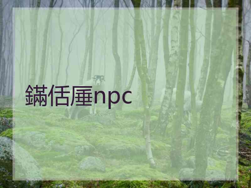 鏋佸厜npc