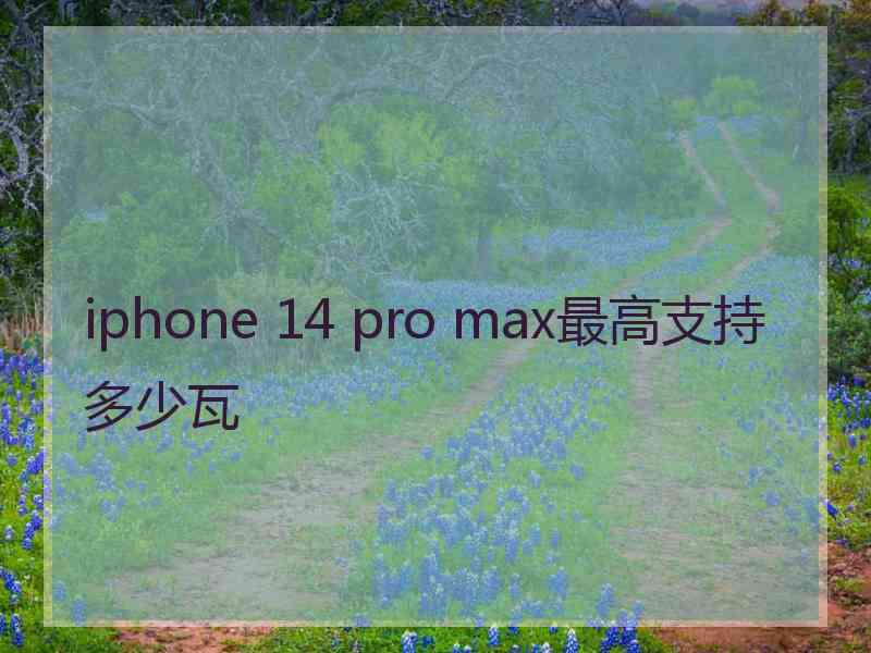 iphone 14 pro max最高支持多少瓦