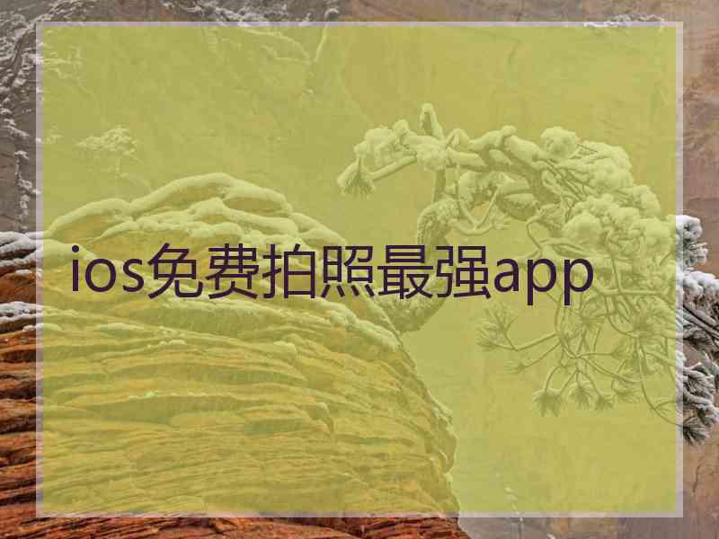 ios免费拍照最强app