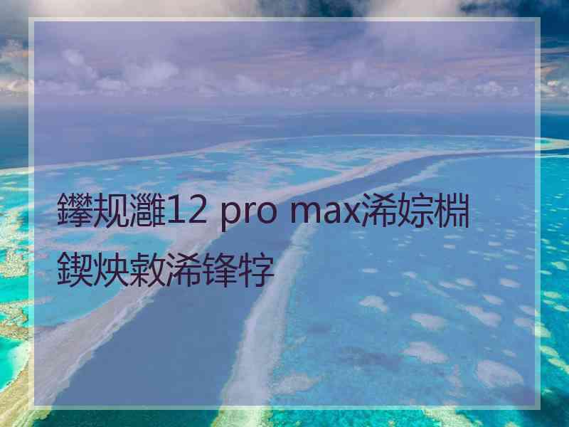 鑻规灉12 pro max浠婃棩鍥炴敹浠锋牸