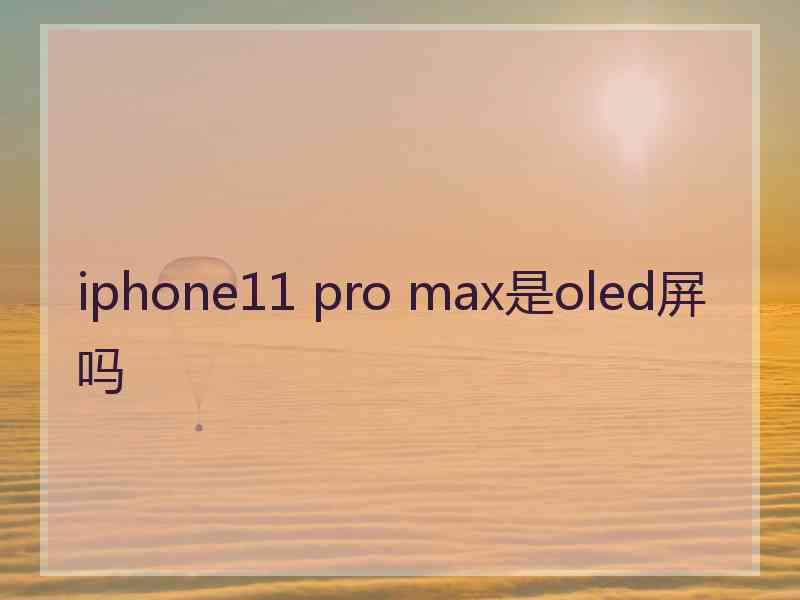 iphone11 pro max是oled屏吗