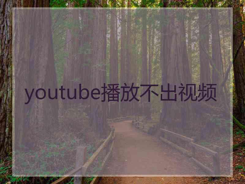 youtube播放不出视频