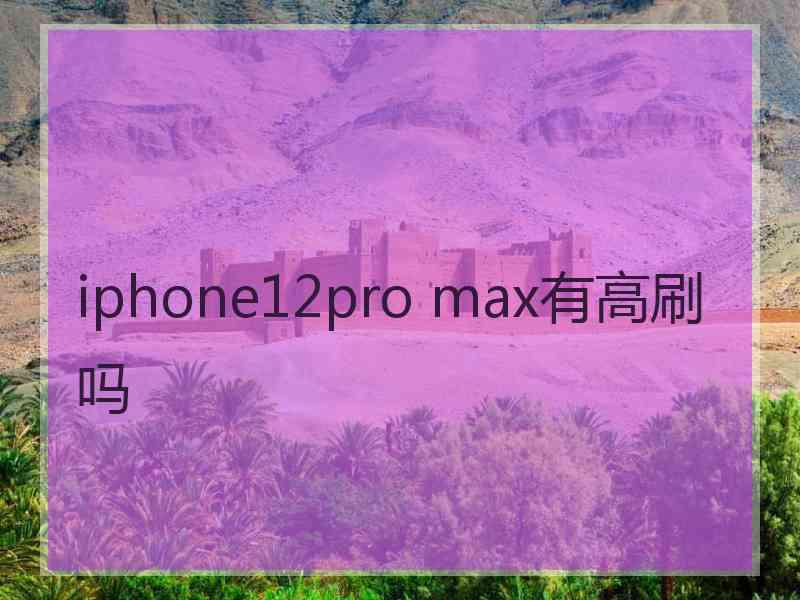 iphone12pro max有高刷吗