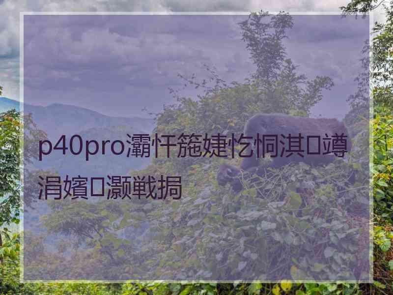 p40pro灞忓箷婕忔恫淇竴涓嬪灏戦挶