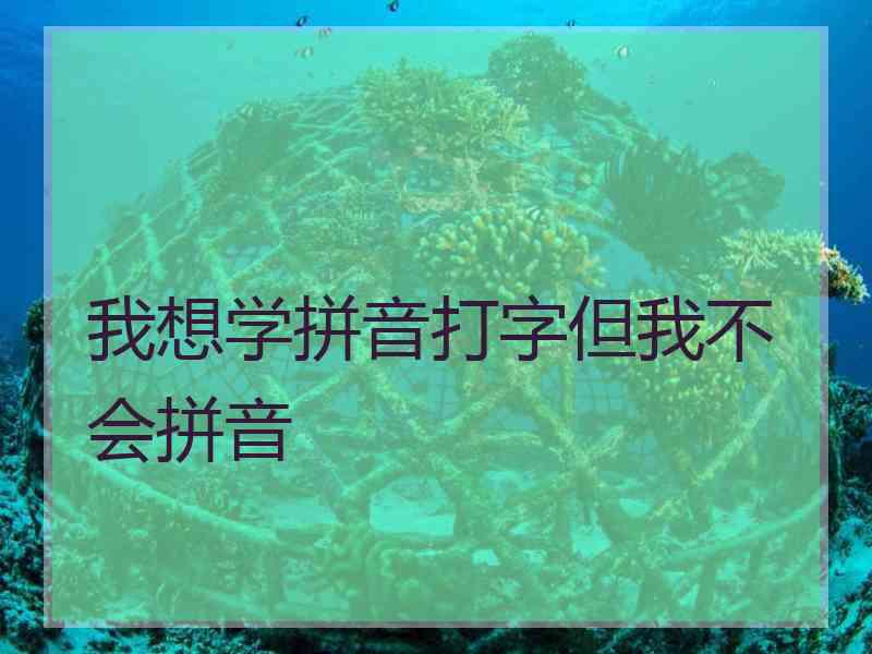 我想学拼音打字但我不会拼音