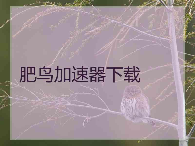 肥鸟加速器下载