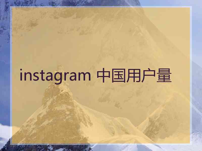 instagram 中国用户量