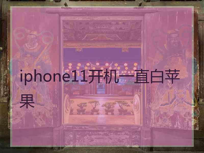 iphone11开机一直白苹果