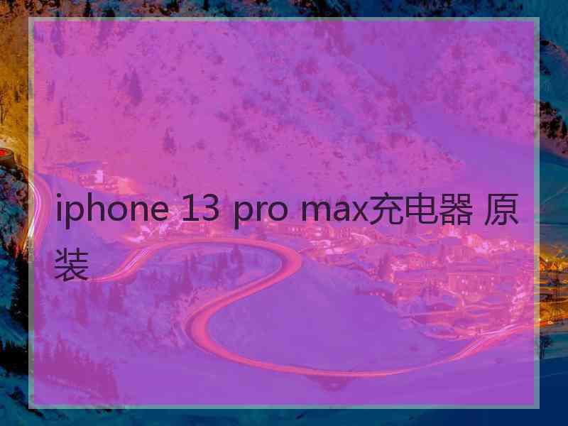 iphone 13 pro max充电器 原装