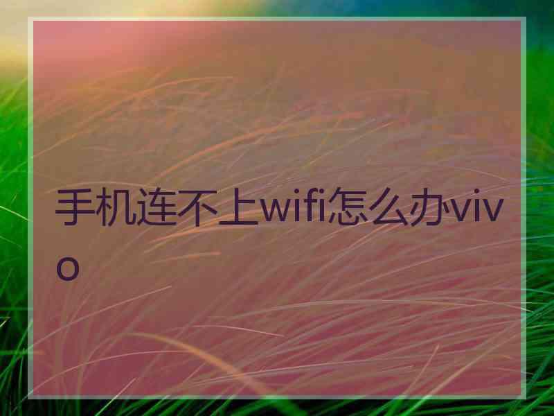 手机连不上wifi怎么办vivo