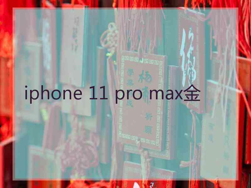 iphone 11 pro max金