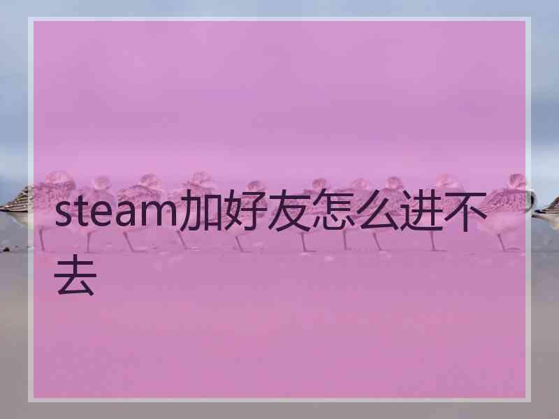 steam加好友怎么进不去