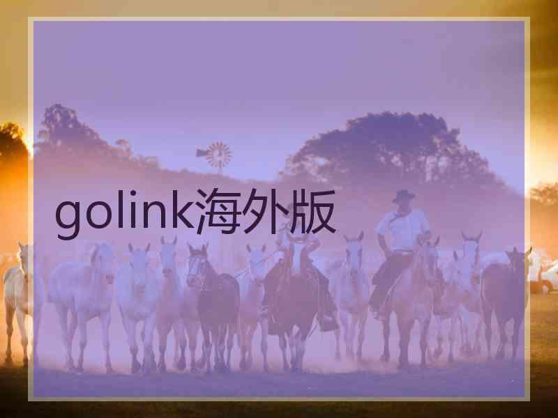 golink海外版