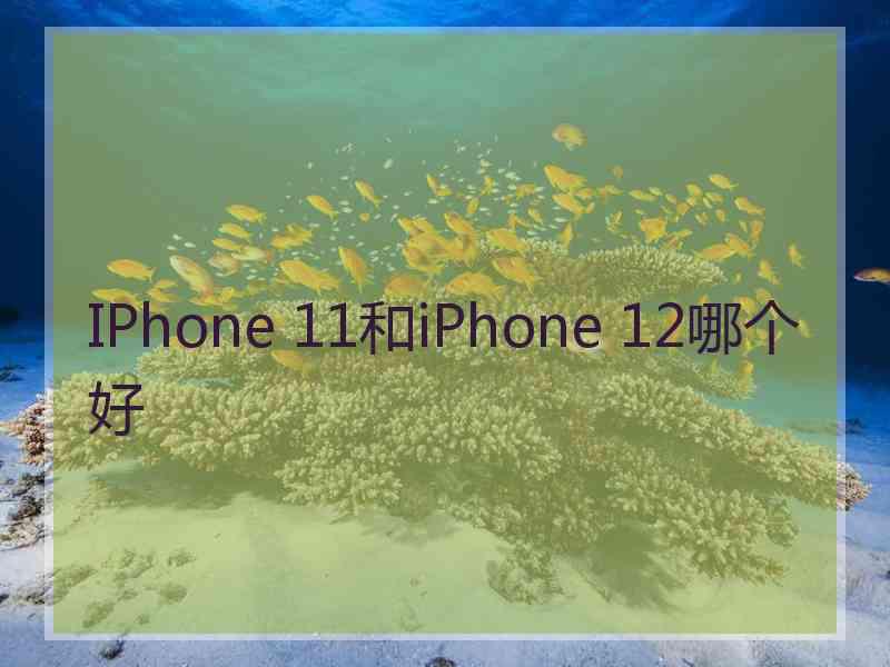 IPhone 11和iPhone 12哪个好