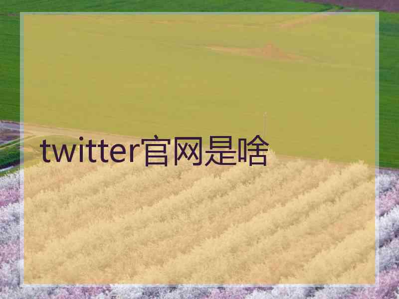 twitter官网是啥