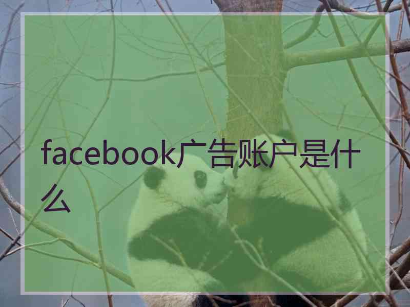 facebook广告账户是什么